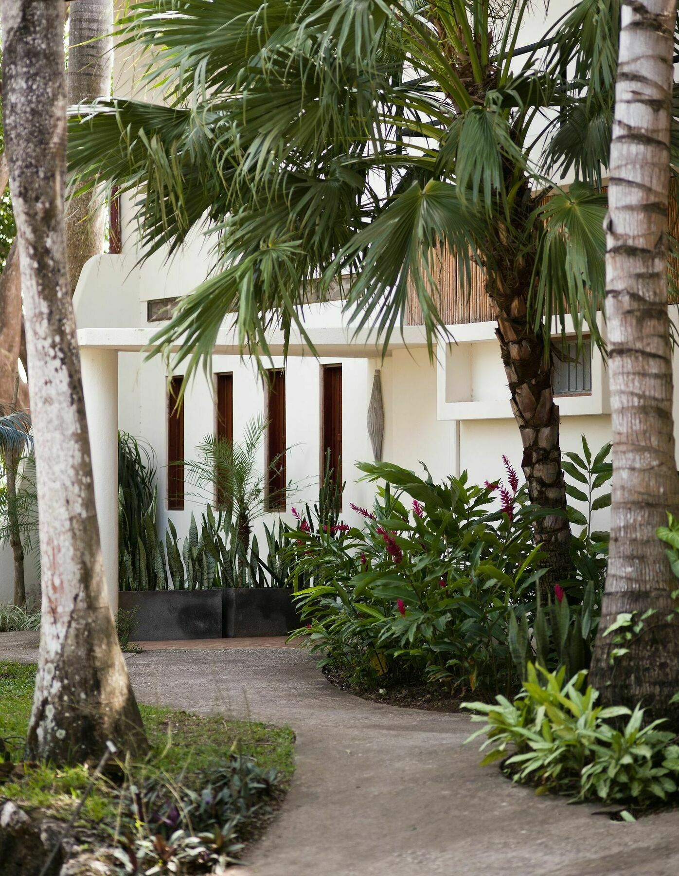 Tierra Magnifica Boutique Hotel Nosara Esterno foto